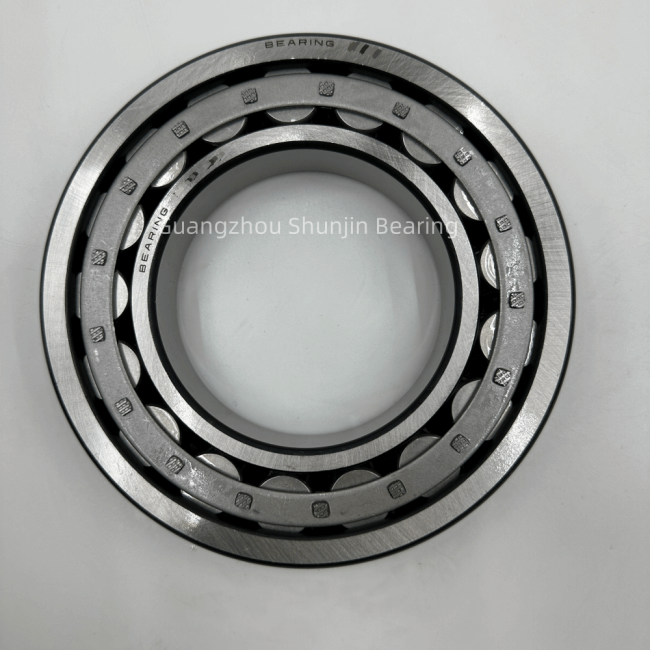 TMY Excavator Swing Gearbox Bearing 06033-00217